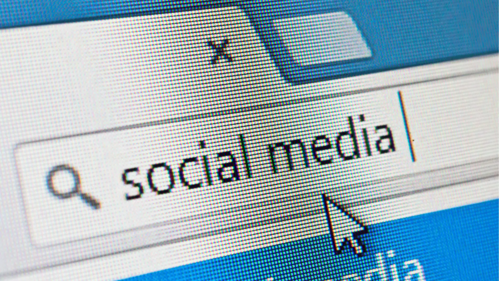 Close-up of computer screen search box showing text 'social media' with cursor